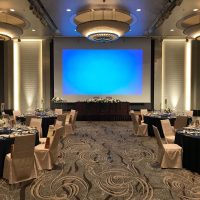 鳳凰　スクリーン